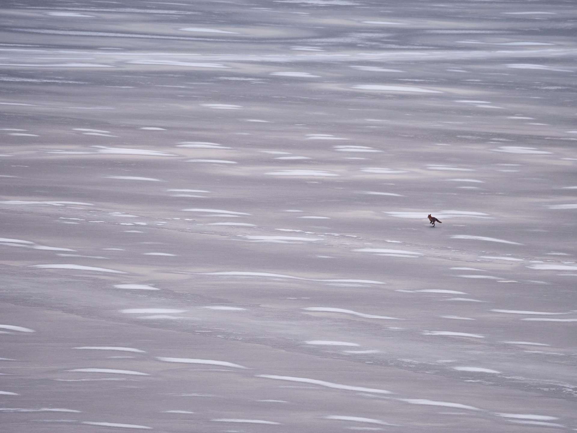 Spotkanie styczniowe 2024