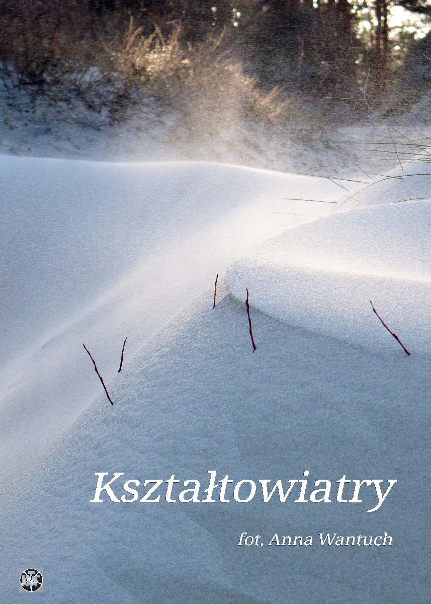Read more about the article Zapraszamy na wystawę Anny Wantuch  “Kształtowiatry”