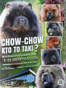 Read more about the article Wystawa Jerzego Rydwańskiego Chow-Chow kto to taki?
